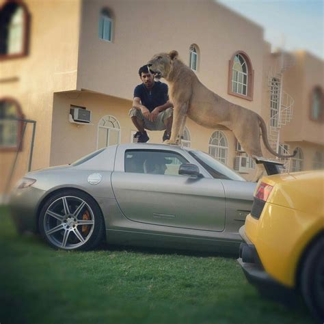 Who puts a Lion on their SLS AMG?