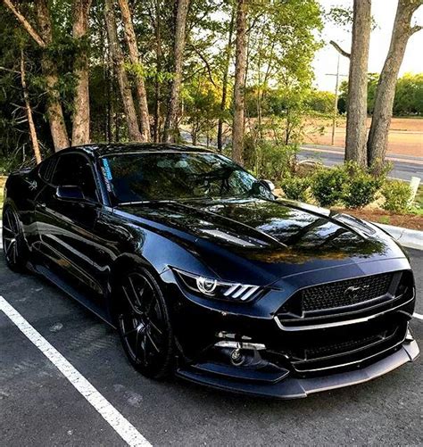 Pin by Enjoy the View on Mustangs | Sports cars mustang, New mustang, Black mustang gt