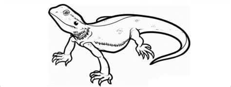 Simple Lizard Outline