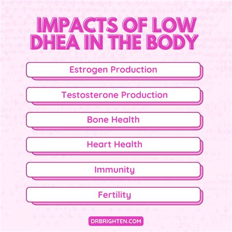 What Does DHEA Do And When Should You Take It? - Dr. Jolene Brighten