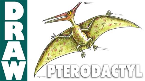 How to Draw a Pterodactyl - YouTube