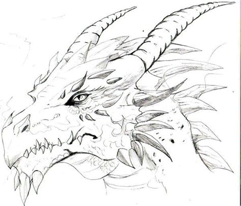 Pin by Julie Adams on Concept Art | Creatures | Dragon head drawing, Cool dragon drawings ...