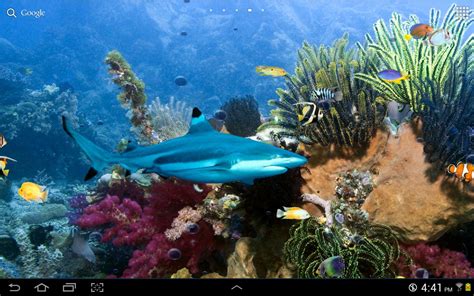 🔥 [50+] Live Tropical Fish Wallpapers | WallpaperSafari