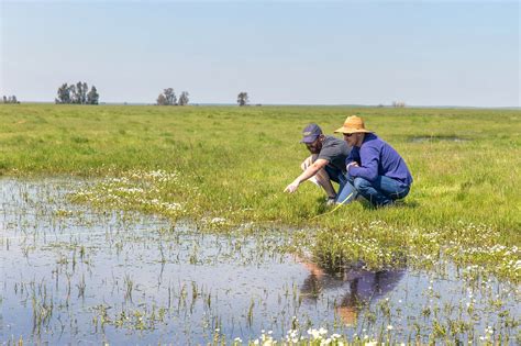 Merced Vernal Pools And Grassland Reserve