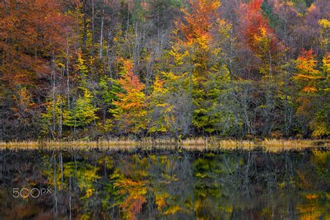 Autumnly Reflections at The Lake - Autumn reflections at a calm lake. | Nature photography, Lake ...