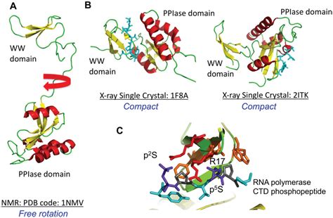 Biomolecules | Special Issue : RNA-Binding Proteins—Structure, Function, Networks and Disease