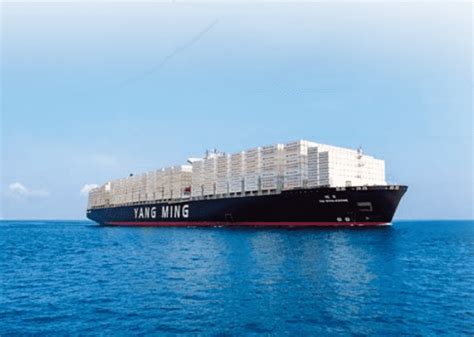 Yang Ming Approves Procurement of LNG Dual-Fuel Container Ships ...