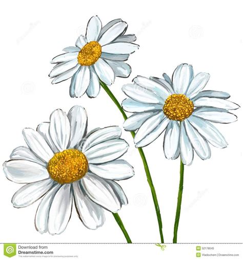 daisy illustrations - Google Search | Disegno di una margherita ...