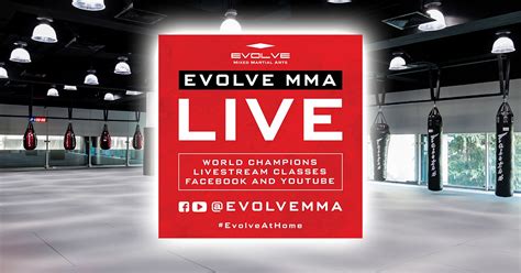 MMA enthusiasts don’t get fat yet – Evolve MMA instructors are conducting FREE classes via ...