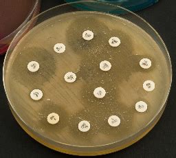 C.L.E.D. AGAR - INDUSTRIA NACIONAL DE MICROBIOLOGIA SAS