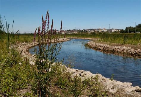 Discover the Carp River Conservation Area - Stittsville Central - Local ...