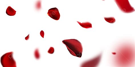 Petals Falling Clipart Transparent Background, Warm Rose Petals Falling On Valentines Day ...