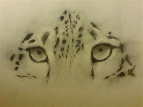 cheetah eyes by mirri66 on DeviantArt