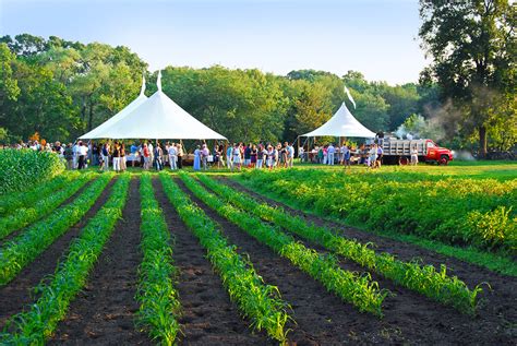 Farm to Table Dining in CT | Visit CT