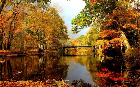 Fall Lake Pictures Wallpaper - WallpaperSafari