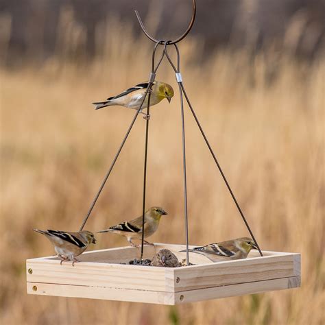 How to Make a DIY Wooden Bird Feeder - The Home Depot