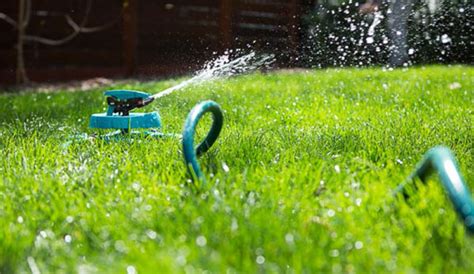 5 Benefits of Overseeding Your Lawn - Gilmour