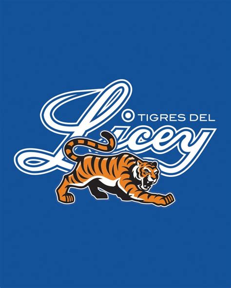 Camiseta Del Licey | ubicaciondepersonas.cdmx.gob.mx