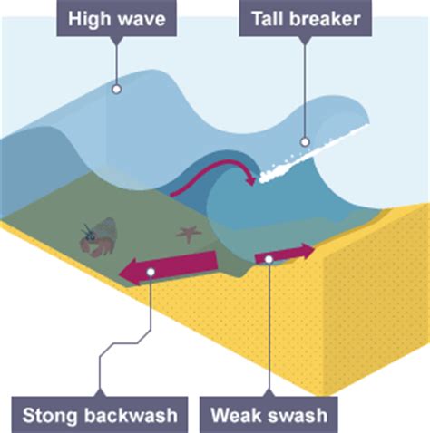 BBC Bitesize - GCSE Geography - Coastal processes - Eduqas - Revision 1