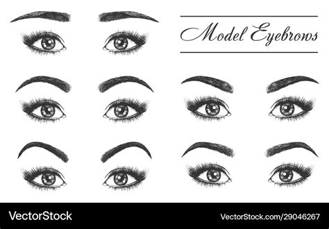 Female eyebrows eyes and lashes makeup styles Vector Image