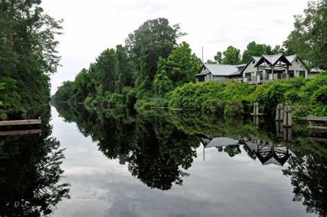 Dismal Swamp State Park and the famous Black Waters in NC