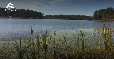 Best Trails in Blackwater River State Park - Florida | AllTrails