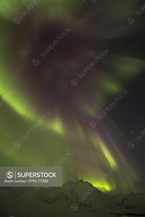 Aurora borealis or northern lights dance across the dark night sky ...