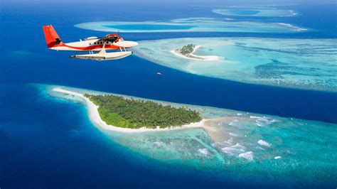 Everything you need to know about scuba diving in the Maldives - The ...