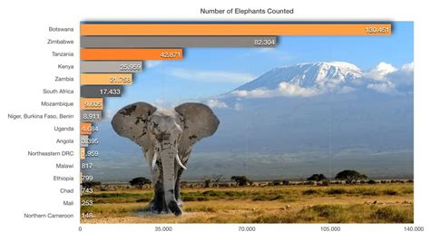 Great Elephant Census Reveals Massive Population Decline in African Savanna Elephants