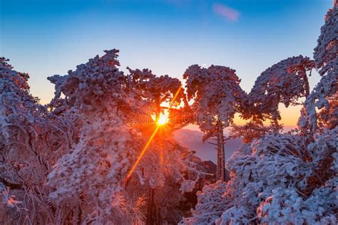 Winter Sunrise Landscape in Huangshan National Park. Stock Photo - Image of crown, asia: 85186800