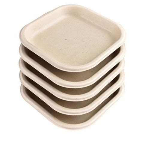 Disposal Bagasse Plates at Rs 2/piece | Bagasse Disposable Plate in New Delhi | ID: 2848973755991