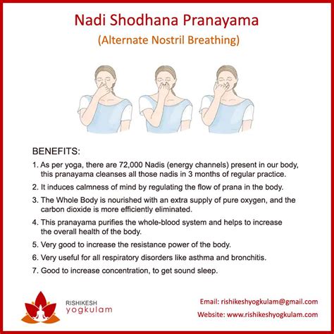 Nadi Shodhana Pranayama | Yoga teacher training course, Yoga teacher ...