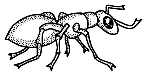 Ant Line Drawing at GetDrawings | Free download