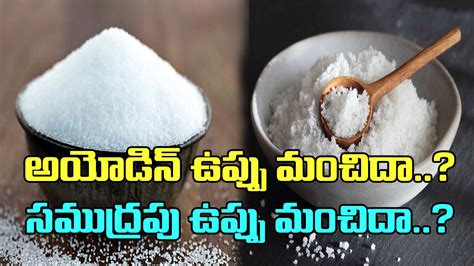 Iodised salt Vs Sea Salt: అయోడైజ్డ్ ఉప్పు మంచిదా? సముద్రపు ఉప్పు మంచిదా? ఏది వాడితే ఆరోగ్యానికి ...