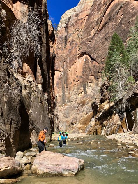 9 Things to Know for the Zion Narrows Hike - Travel Guide for Zion ...