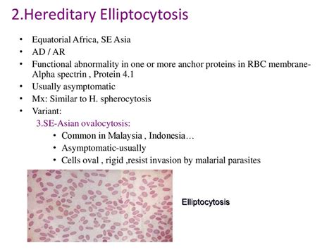 Hemolytic anemia - презентация онлайн