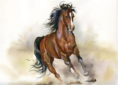 Drawings Of Wild Horses Running