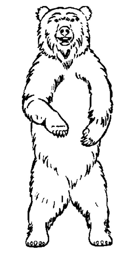 Download High Quality bear clipart standing Transparent PNG Images ...