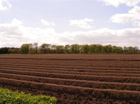 Ploughed Field 01 by Axy-stock on DeviantArt