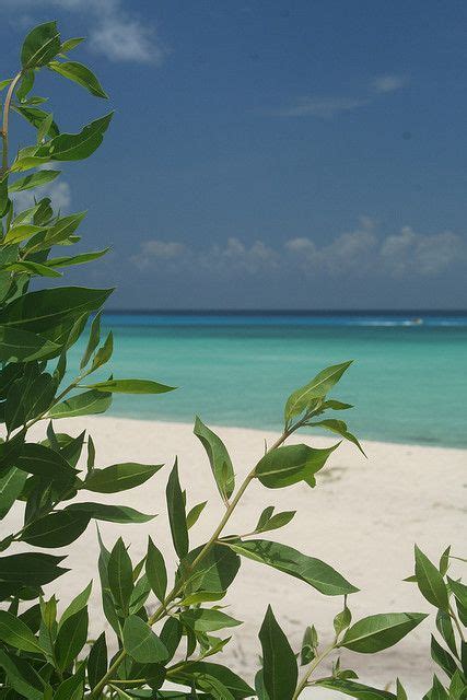 Cozumel Island. Here in '88 and '94. The people are just as beautiful as the the beaches ...