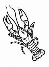 Print Crawfish Coloring Page  Free Printable Pages sketch template