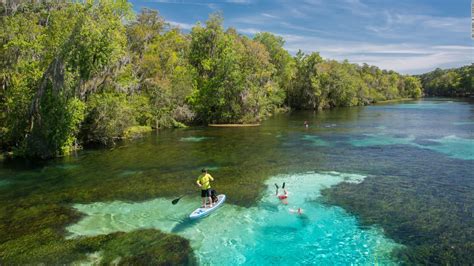 The Florida Wildlife Corridor is nearly 18 million acres of natural wonder. The state just ...