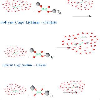 Scheme 9: The schematic representation of solute-solvent interaction,... | Download Scientific ...