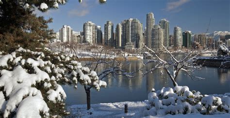 22 free things to do this winter in Vancouver | News