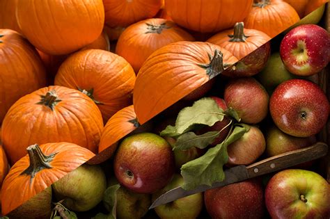 Take Your Pick: Fall 2019 Apple and Pumpkin Picking on the East End