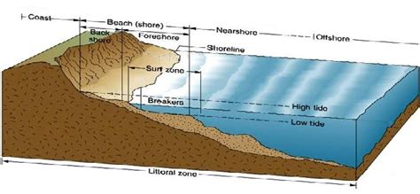 Beach Cross Section Diagram | British Sea Fishing