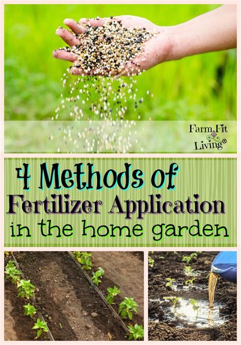 4 Methods of Fertilizer Application in the Home Garden | Vegetable garden planning, Gardening ...