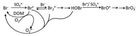 Scheme 5. The mechanism of BrO3 − formation by SO4 −• . | Download ...