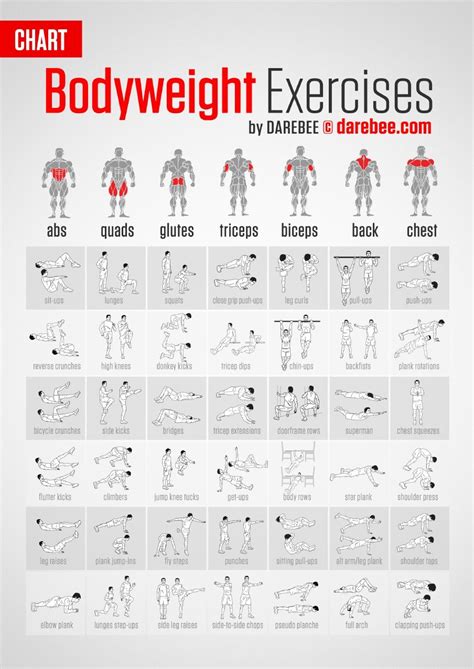 5 Day Full Body Calisthenics Workout Plan Pdf for Weight Loss | Fitness ...