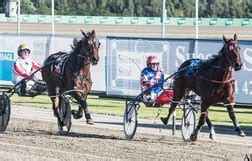 New South Wales - Australian Harness Racing